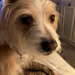 Meet your Posher, JT